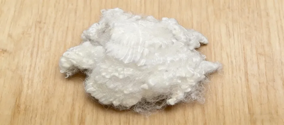 Hva er jomfruelig konjugert fiber?